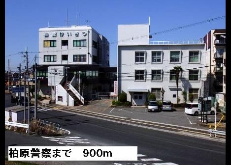Naikan11 20150609000000