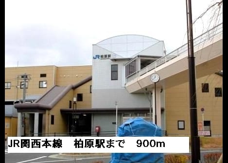 Naikan7 20150609000000