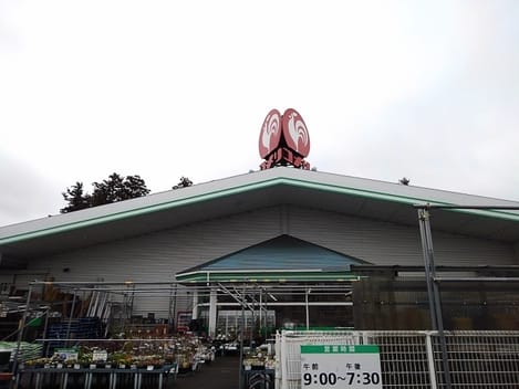 Naikan13 20260818000000