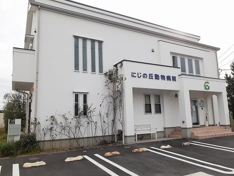 Naikan18 20230308000000