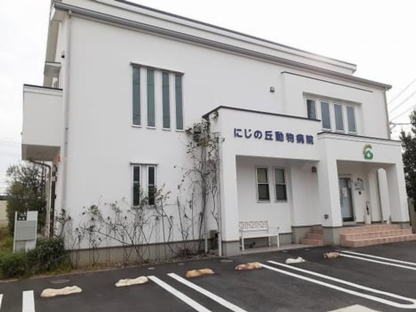 Naikan18 20230308000000 945x630