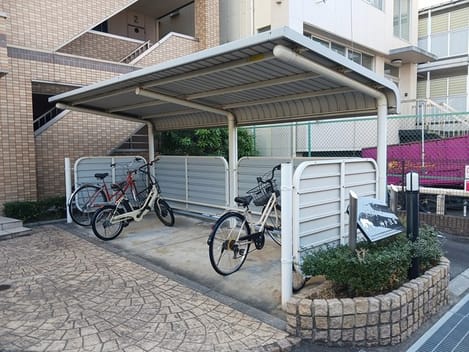 Naikan11 20241227000000