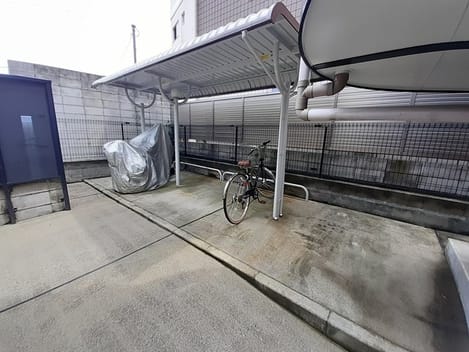 Naikan11 20230824000000
