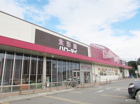 Naikan17 20210517000000