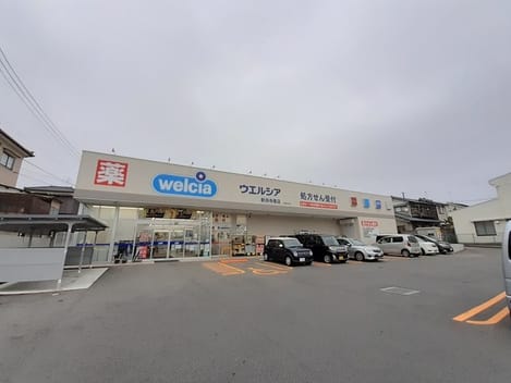 Naikan15 20241213000000