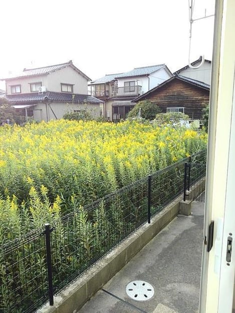 Naikan8 20191016000000