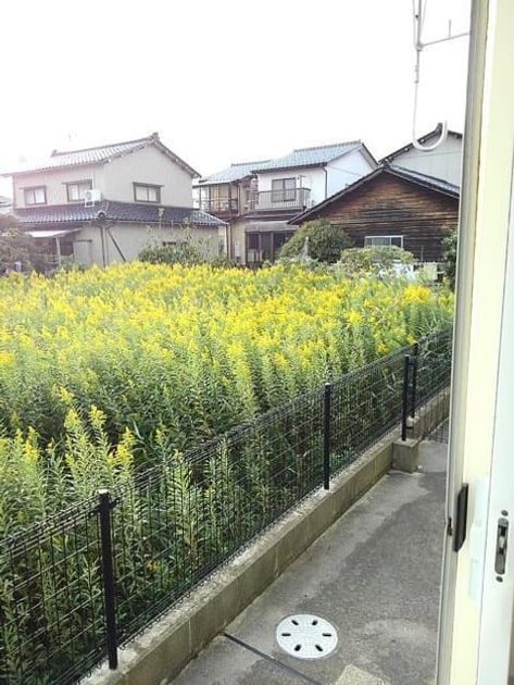 Naikan8 20191016000000 945x630