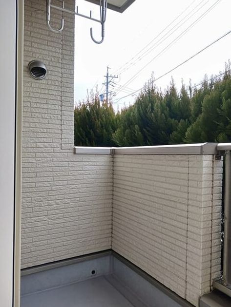 Naikan12 20250221000000 945x630
