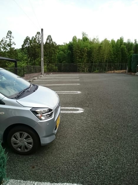 Naikan9 20200604000000