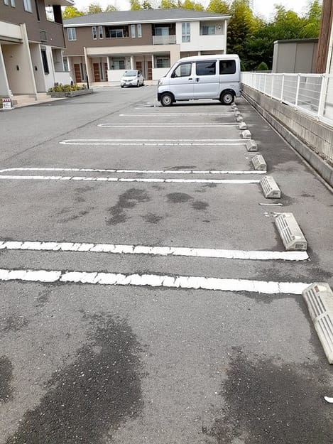 Naikan11 20241009000000