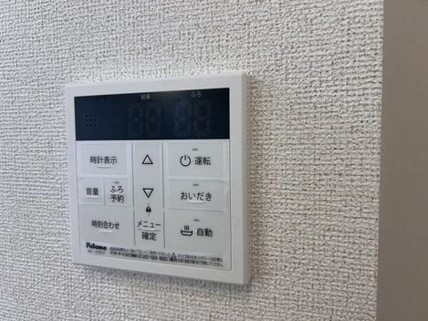 Naikan11 20250319000000