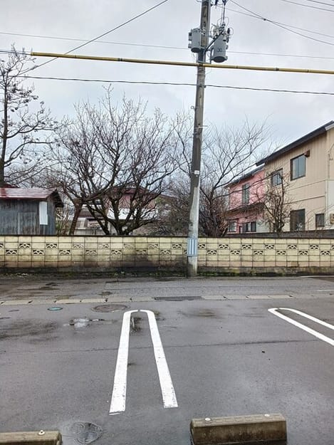 Naikan11 20250403000000