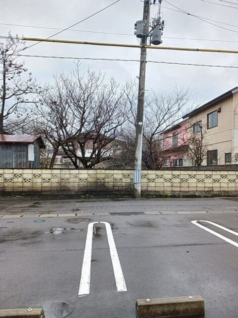 Naikan11 20250403000000 945x630