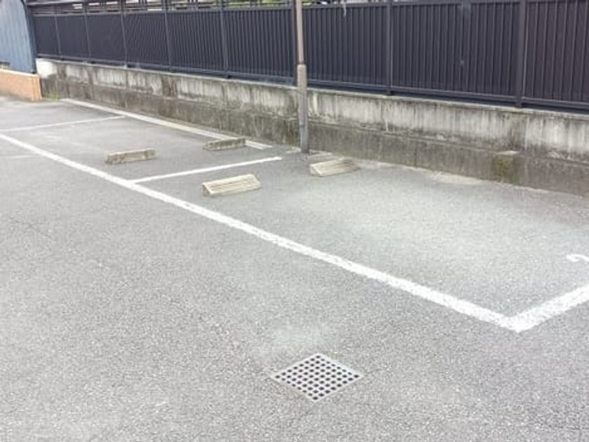 Naikan10 20250327000000 945x630