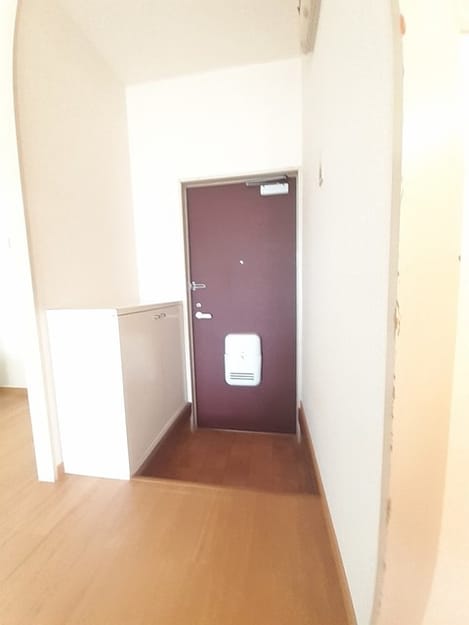 Naikan9 20231124000000