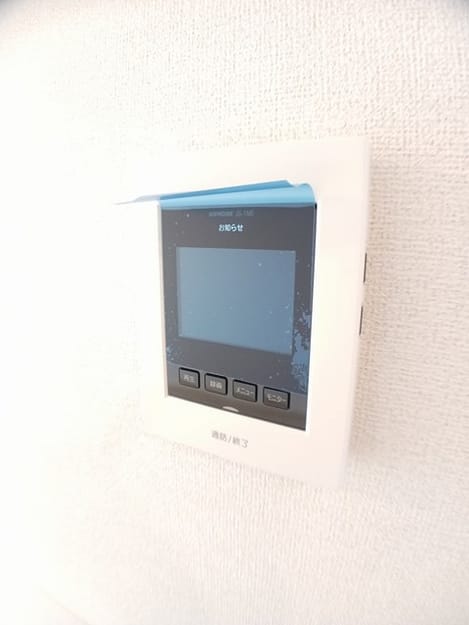 Naikan11 20250131000000