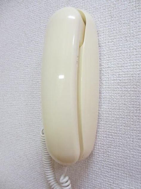 Naikan11 20191226000000 945x630