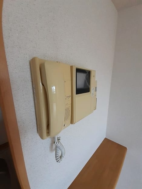 Naikan11 20210909000000