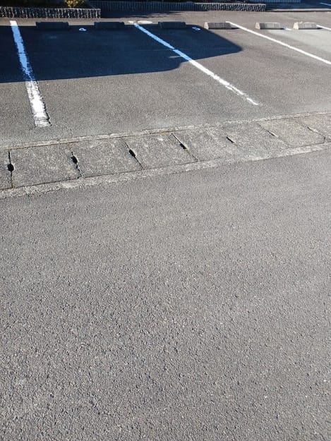 Naikan10 20250120000000