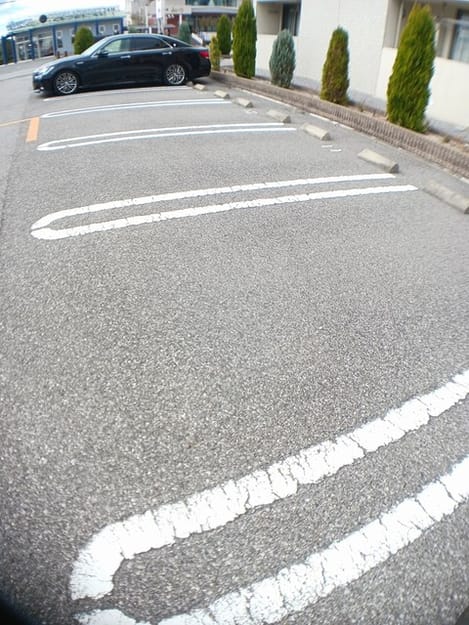 Naikan9 20241206000000