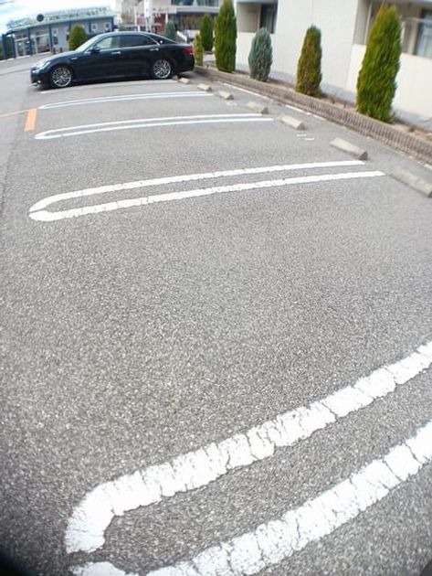 Naikan9 20241206000000 945x630