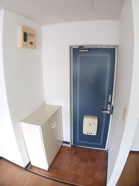 Naikan8 20260805000000