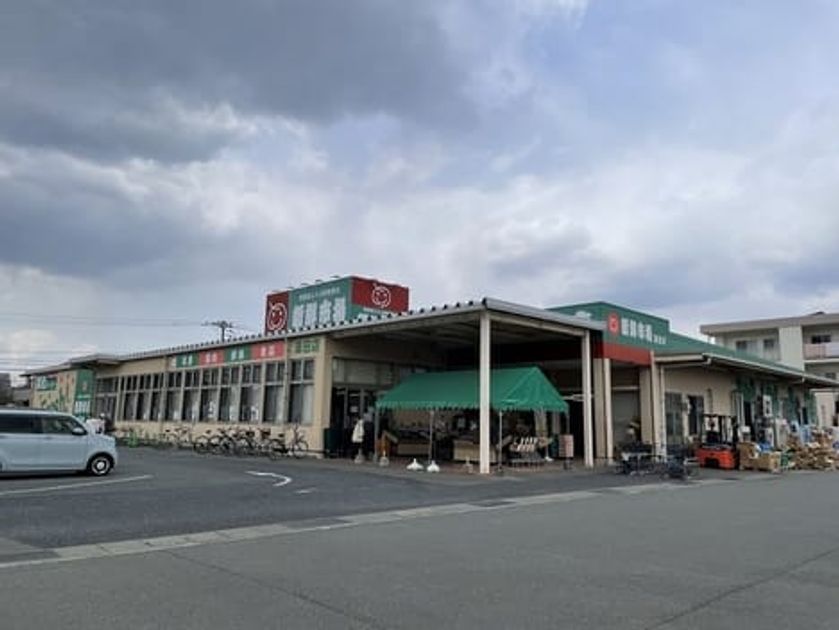 Naikan17 20250418000000 945x630