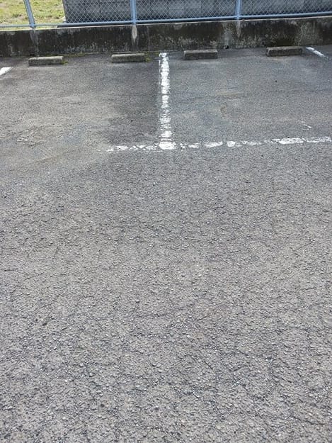 Naikan11 20250321000000