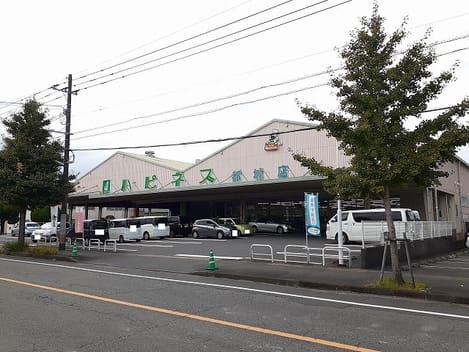 Naikan16 20220916000000