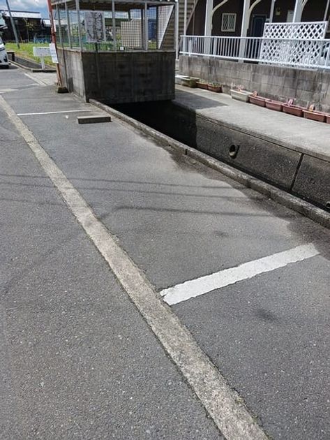 Naikan11 20250415000000 945x630