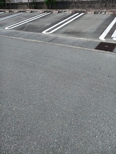 Naikan11 20250828000000 945x630