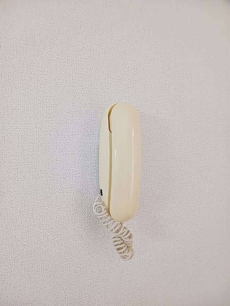 Naikan8 20260807000000