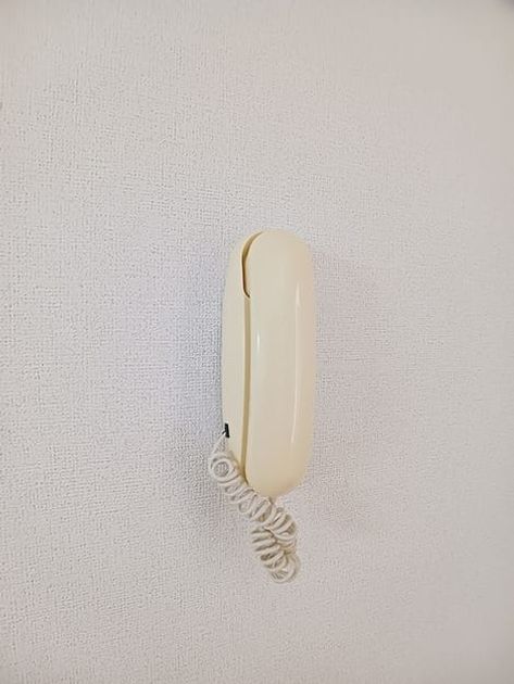 Naikan8 20260807000000 945x630