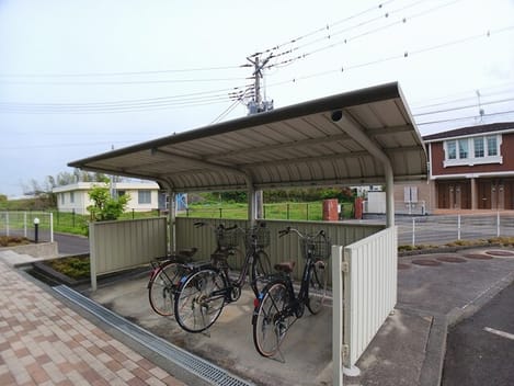 Naikan11 20250509000000