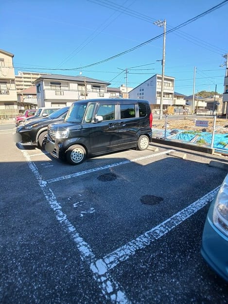 Naikan11 20260109000000