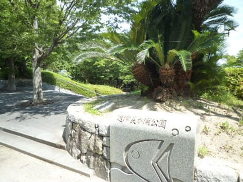 Naikan15 20250215000000 945x630