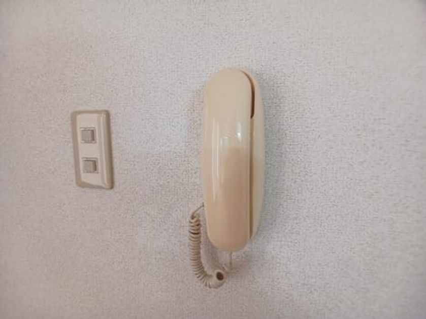 Naikan8 20260319000000 945x630