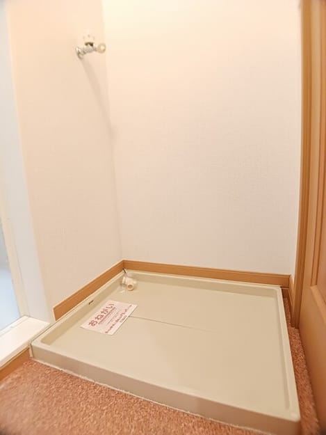 Naikan10 20260217000000