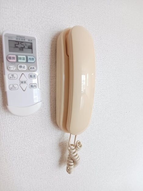 Naikan12 20260331000000