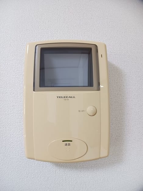 Naikan11 20260529000000