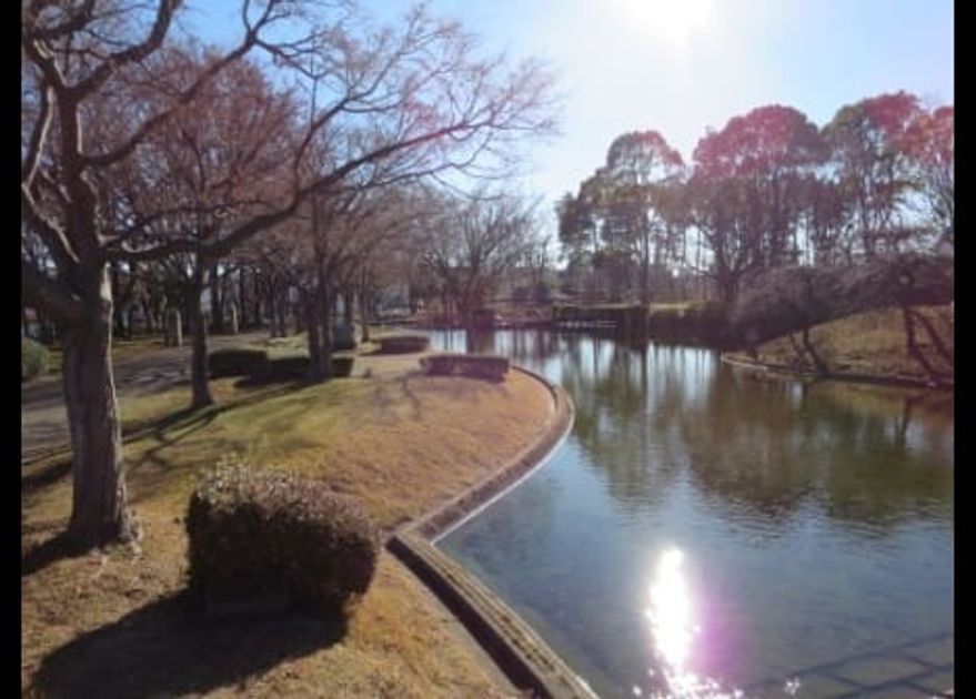 Naikan18 20201023000000 945x630