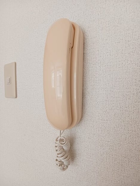 Naikan12 20260424000000