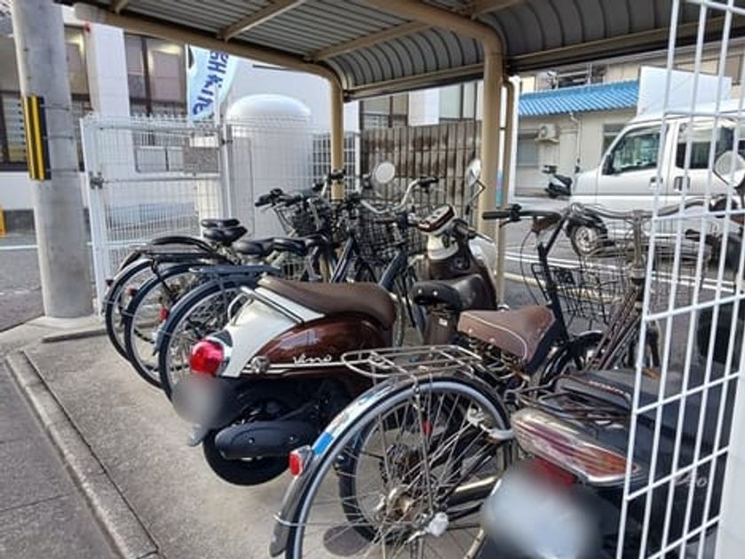 Naikan11 20241129000000 945x630