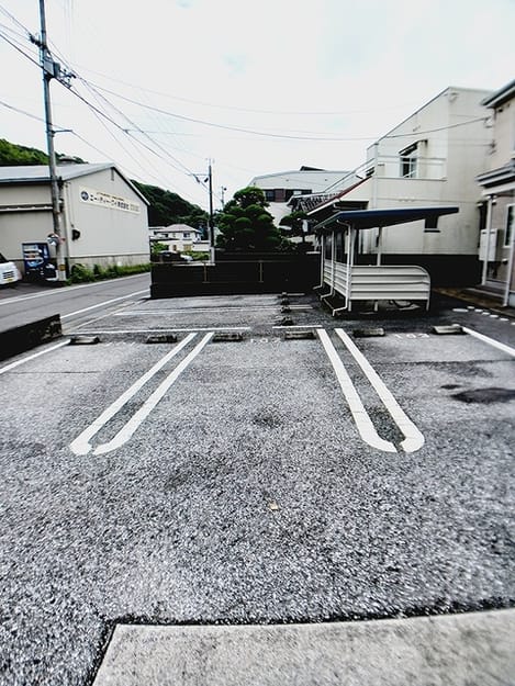 Naikan11 20260709000000