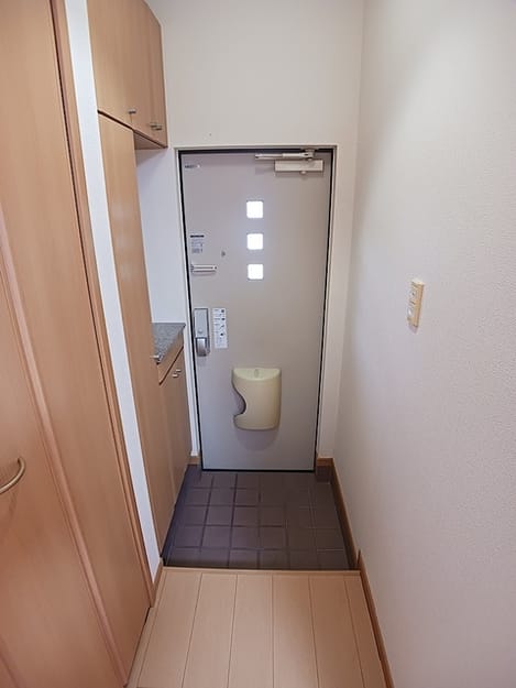 Naikan6 20260609000000
