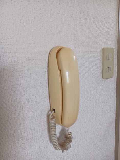 Naikan13 20260518000000