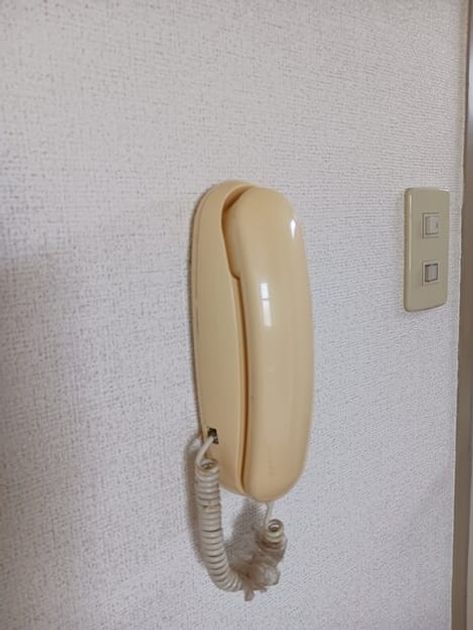 Naikan13 20260518000000 945x630