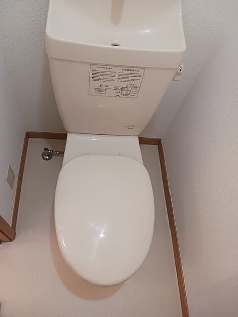 Naikan8 20260601000000