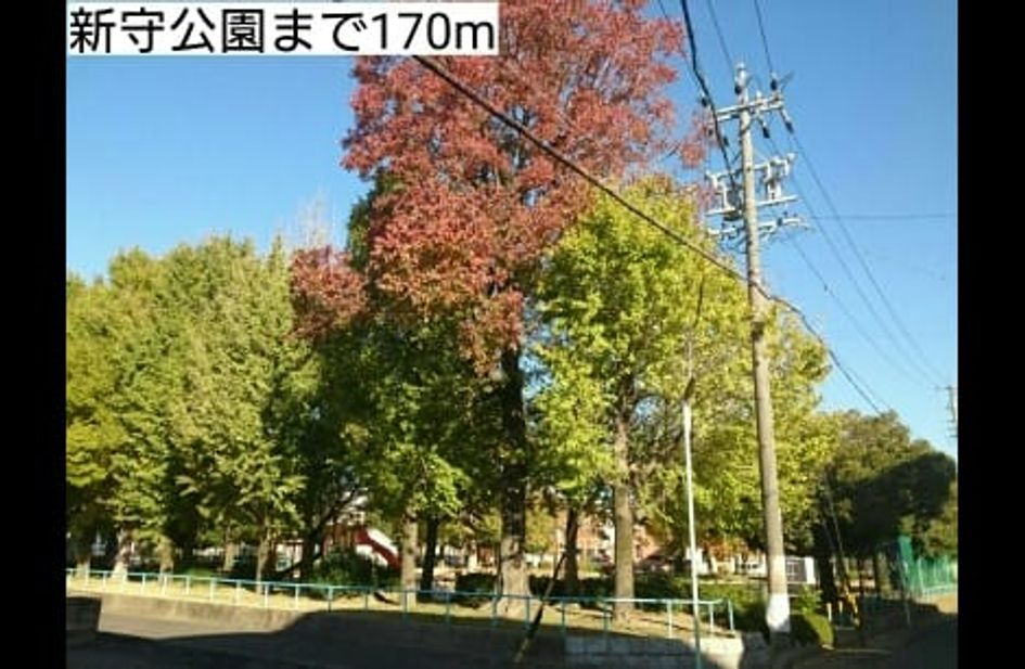 Naikan17 20181121000000 945x630
