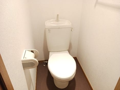 Naikan12 20260602000000